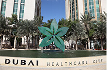 UAE to Lead Healthcare Sector
