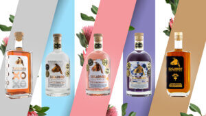Sugarbird®: Innovative Spirits from the Heart of South Africa